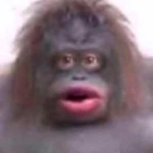 Meet your Posher, Delaney